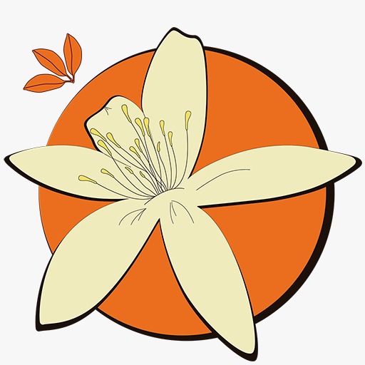 Logo de NaranjoFM